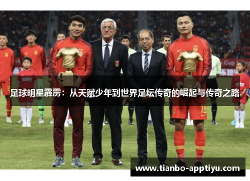 足球明星霹雳：从天赋少年到世界足坛传奇的崛起与传奇之路